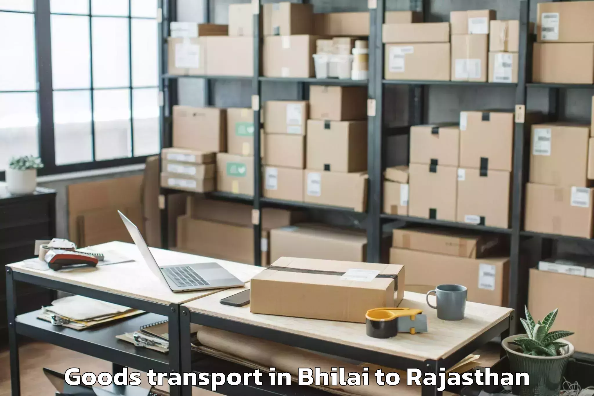 Leading Bhilai to Viratnagar Goods Transport Provider